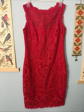 Tadashi Shoji Mendy Corded Embroidered Lace Tulle Dress size 8